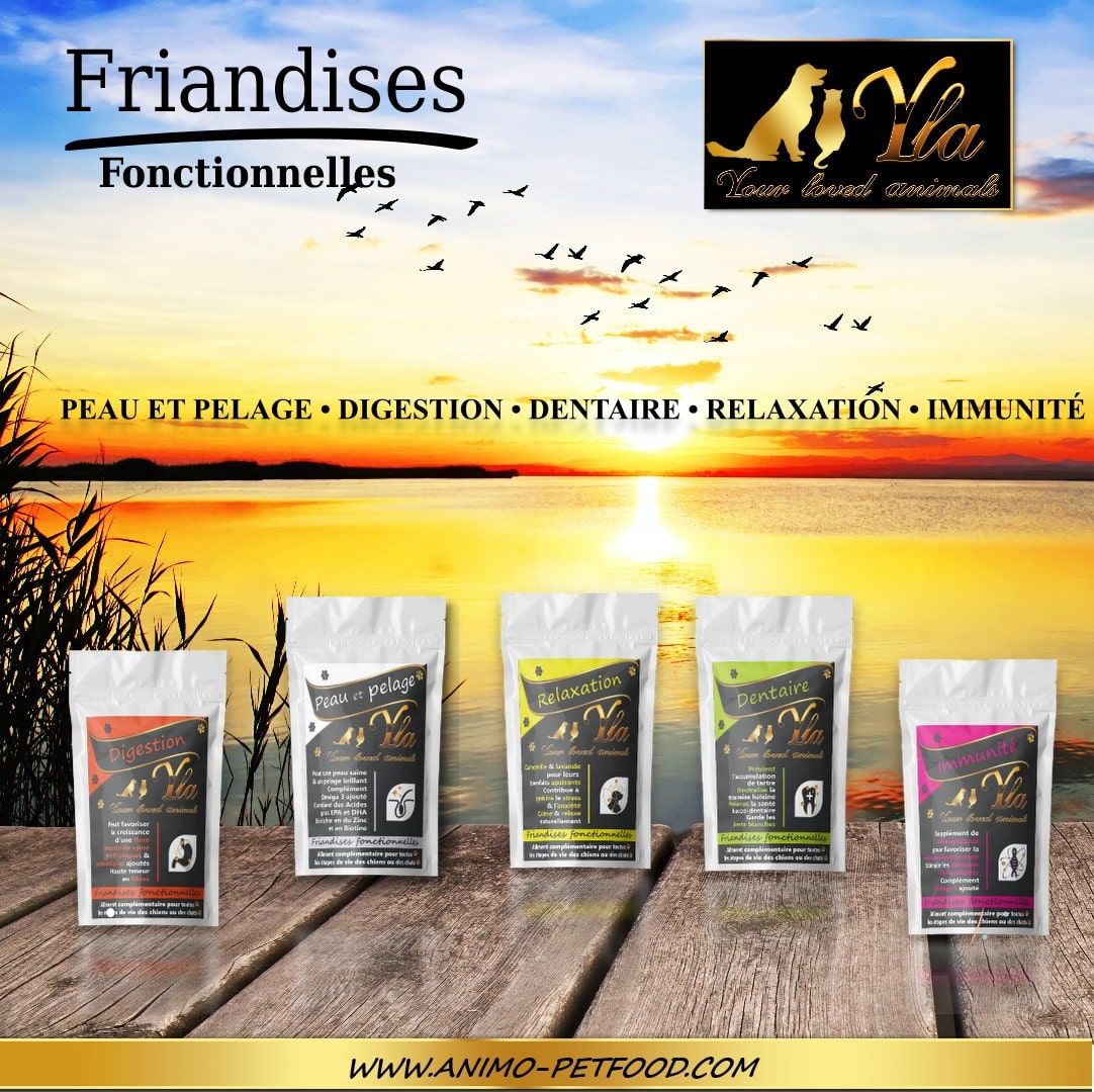 friandises-pour-chat-et-chien